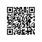 M55342K02B11B5RWS QRCode