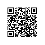 M55342K02B132ARWS QRCode