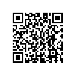 M55342K03B13B5RWS QRCode