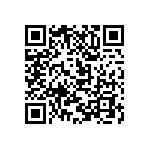 M55342K03B2B00RT5 QRCode