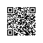 M55342K03B309BRWS QRCode