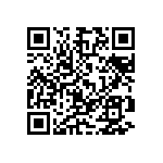 M55342K04B402BRT5 QRCode