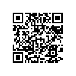 MKP383420250JPP2T0 QRCode