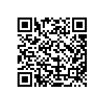 MKP385413063JF02W0 QRCode