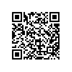 MKP385413063JFM2B0 QRCode