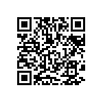 MKP385510063JKP2T0 QRCode