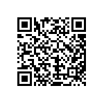 MKP385530063JPP4T0 QRCode