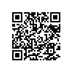 MKP385639016JPP4T0 QRCode