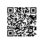 MKP386M456100JT7 QRCode