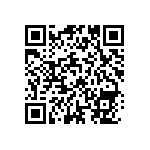 MP22T1-C24-3080-W-2-00 QRCode