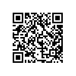 MP22T1-C24-4080-T2-2-00 QRCode