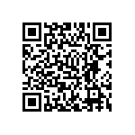 MP4-1H-1H-1T-00 QRCode