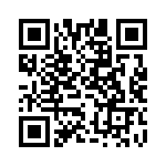 MS27467T11F13S QRCode