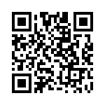 MS27468T13B22S QRCode