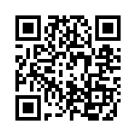 P0311 QRCode