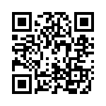 P0453NLT QRCode