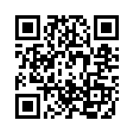 P2951 QRCode