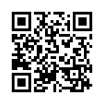 P2953 QRCode