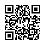 P38292E QRCode