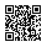 P4KE11 QRCode