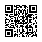 P4KE110C-B QRCode