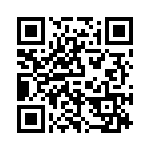 P4KE13 QRCode