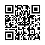 P4KE200A-G QRCode