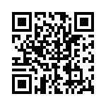 P4KE20A-B QRCode