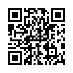 P4KE220C-B QRCode