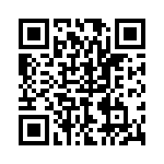 P4KE22A QRCode