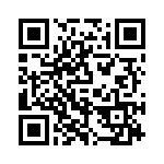 P4KE24 QRCode