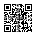 P4KE30C-B QRCode