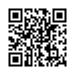 P4KE33C-B QRCode