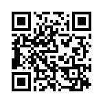 P4KE43 QRCode