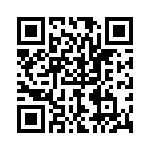 P4KE510-B QRCode