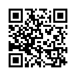 P4KE550-G QRCode