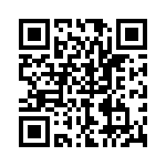 P4KE91A-B QRCode