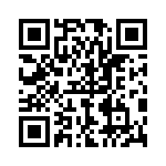 P6KE100A-B QRCode