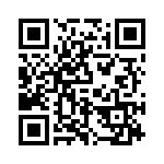 P6KE20 QRCode