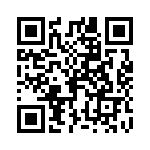 P6KE300-B QRCode