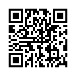 P6KE300A-R0G QRCode