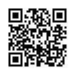 P6KE300C-B QRCode