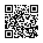 P6KE33-E3-54 QRCode