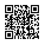 P6KE43A-B QRCode