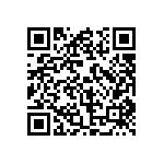 PA46-4-300-NO2-NP QRCode