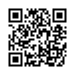 PA46-4-300-X QRCode