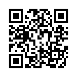 PE-63387NL QRCode