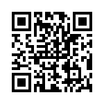 PPT0300DWX2VB QRCode