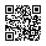 PPT0300GFX5VB QRCode