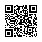 PT00P-22-36S QRCode